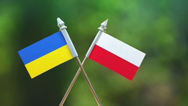 Сектори польської економіки, в які інвестує український бізнес